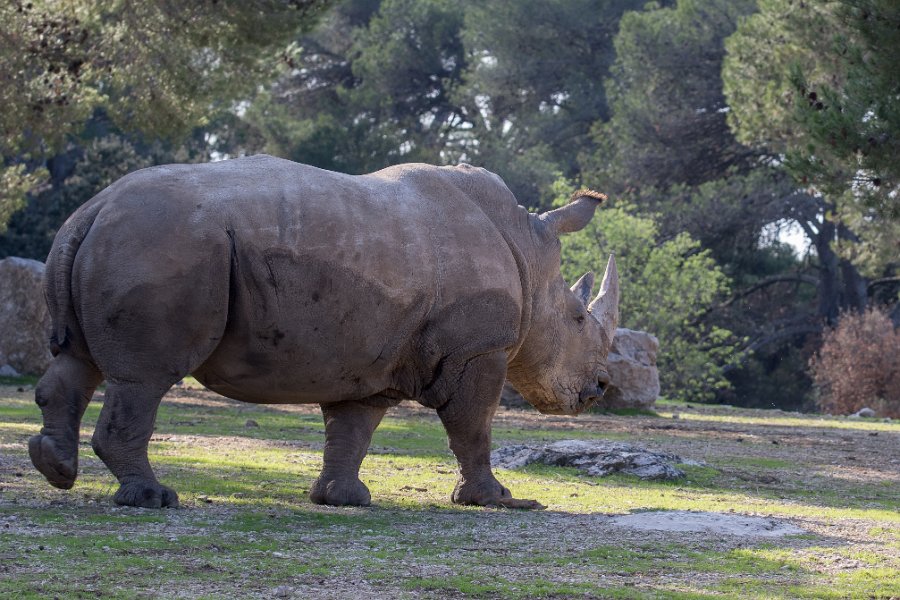 zoo-33