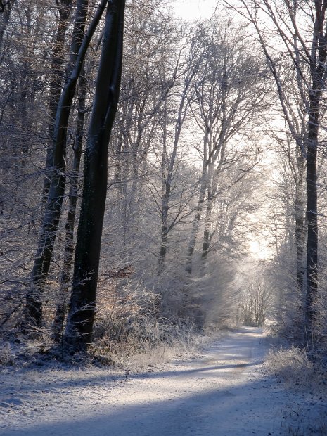 hiver_normandie-2