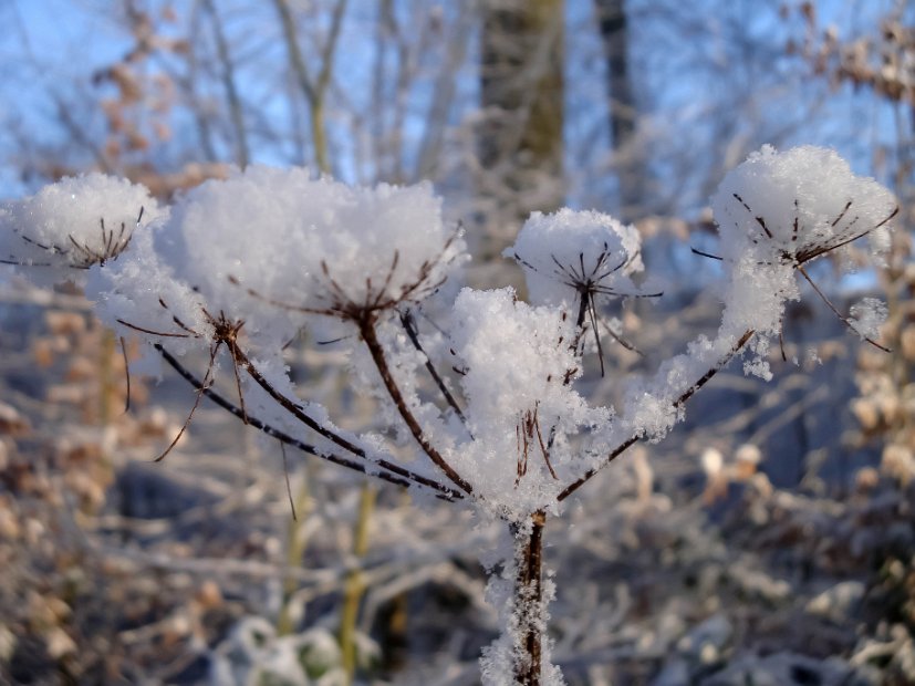 hiver_normandie-3