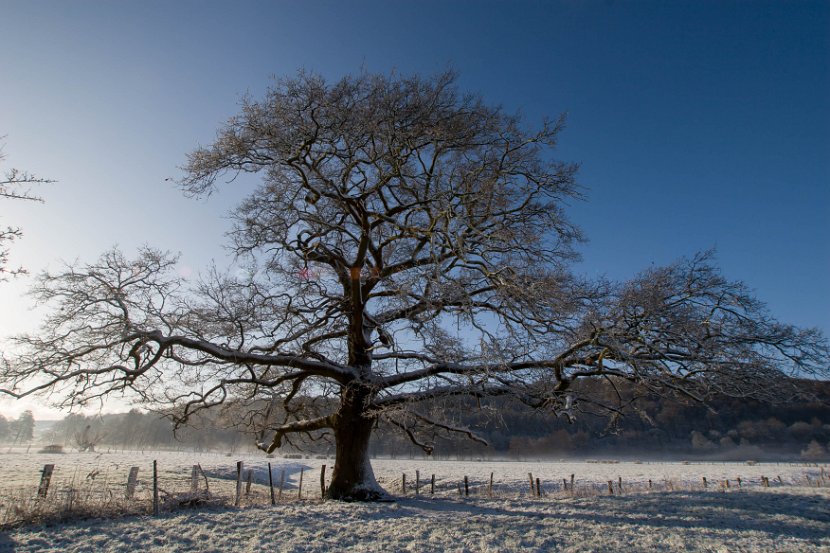 hiver_normandie-5