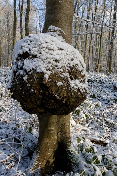hiver_normandie-8