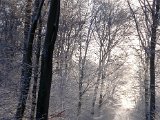 hiver_normandie-2.jpg