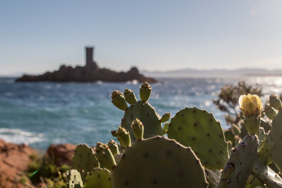 esterel-4