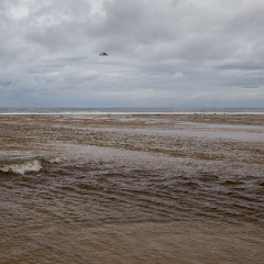 Plage de Moliets