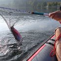 Lac de Gérarmer:une arc-en-ciel pêchée dukayak gonflabe