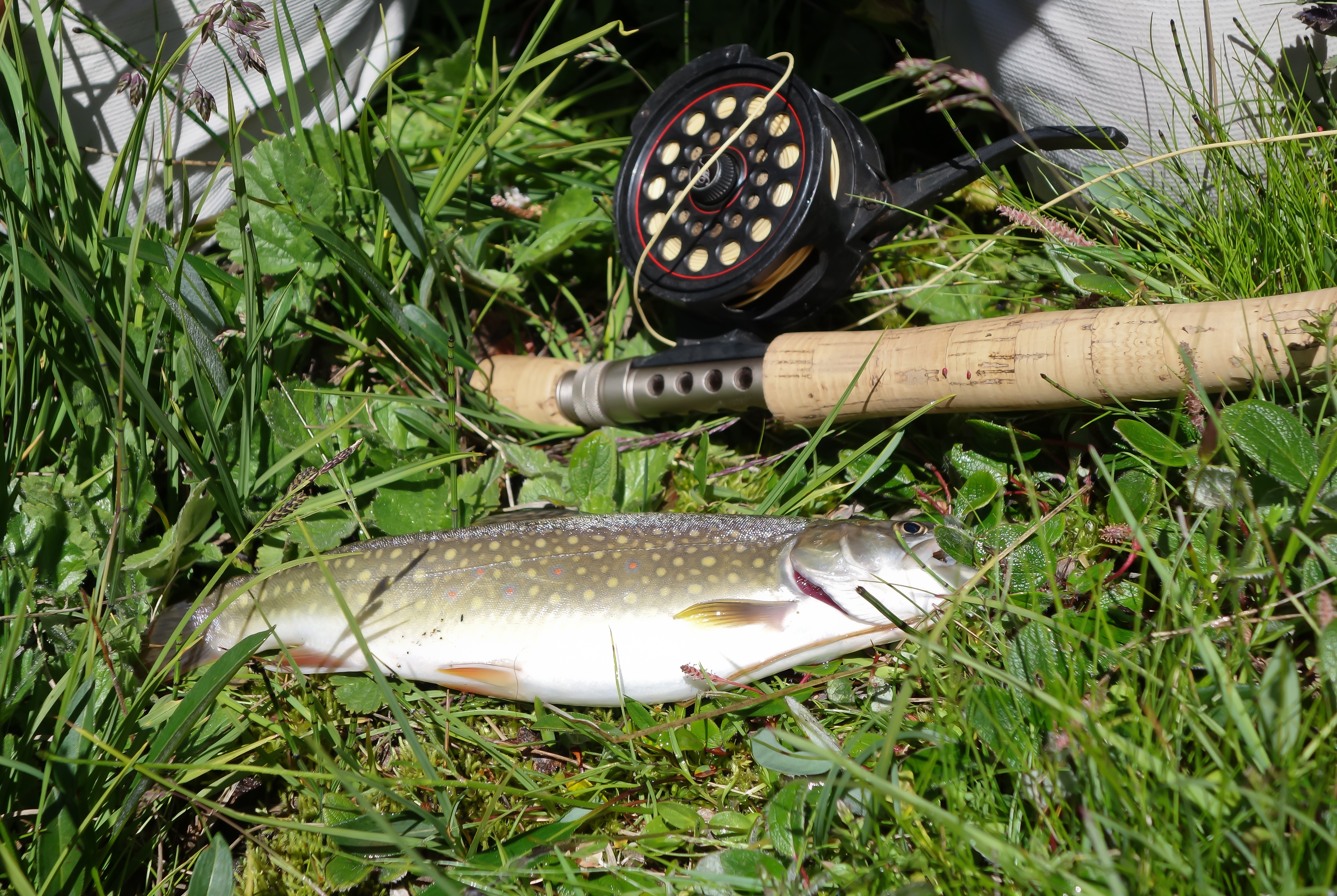 lac peche-3-2