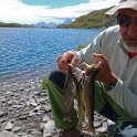 Truites farios des Malrif dans les hautes Alpes